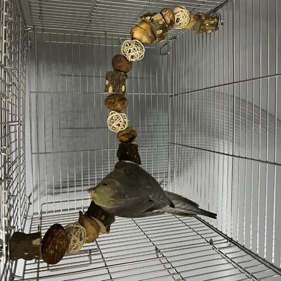 玄凤牡丹解闷鸟笼配件用品大全