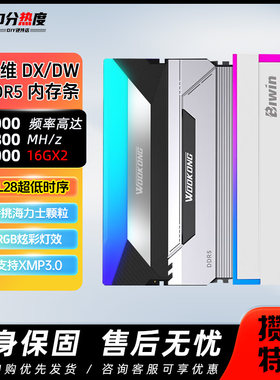 佰维DDR5悟空RGB内存 DX100 HX100 32G 64G 6000 6600 6800 7200