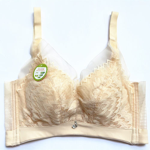 蕾丝大码薄杯舒适无钢圈文胸罩聚拢调整型上托收副乳女士内衣1846