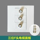 86型三位英制F头电视3个宽频有线数字卫星高清电视闭路TV插座面板