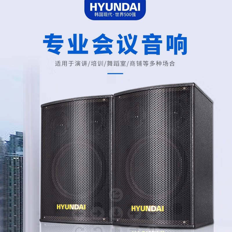 现代HY010会议室音响10英寸三分频重低音 家庭KTV健身房展厅教室