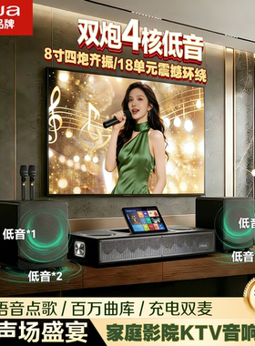 aiwa爱华WA222/666家庭影院KTV电视音响K歌低音炮 点歌机环绕音箱