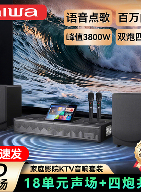 aiwa爱华WA111/222电视音响K歌低音炮 语音点歌机家庭影院KTV音箱