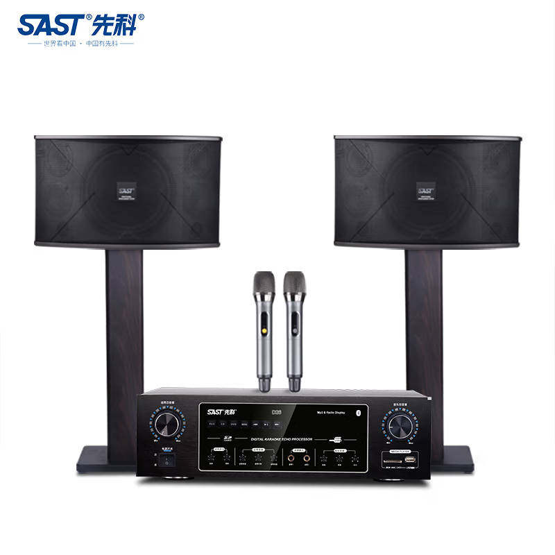 先科D26家庭影院KTV音响套装10英寸 会议室教室家用K歌音箱功放机