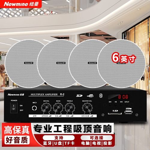 纽曼R12/R15/R16/D168定压吸顶喇叭音响ND6英寸高清保真吊顶音箱