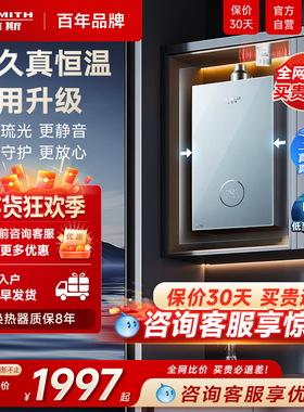 国补AO史密斯家用燃气热水器恒温即热式佳尼特13升TCS5天然气16升