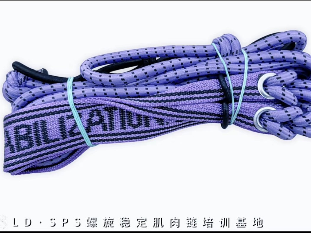 捷克进口脊柱螺旋肌肉链训练弹力绳脊柱侧弯紫色健美绳,运动/瑜伽/健身/球迷用品,拉力绳/拉力器,淘宝优惠券,粉丝福利购,淘宝优惠卷