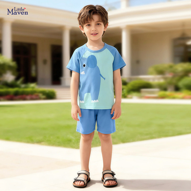 男童夏天短袖短裤男孩衣服夏季短袖欧美风儿童两件套 休闲童套装