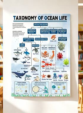 STEAM海洋生物分类学英文科普挂