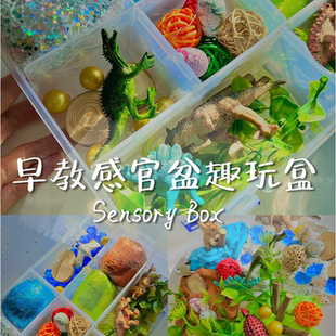 瑞吉欧蒙特梭利恐龙感官盆趣玩盒开放性材料创意游戏早教家庭玩具