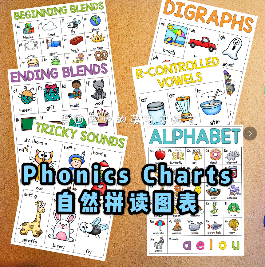 英语自然拼读图表phonics charts单词练习卡片海报 教材教师教具