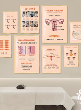 女性健康教育科普装饰画私密保养挂画美容院妇产科产后修复墙壁画