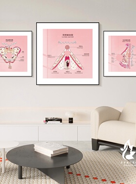 美容院粉色氛围布置挂画背景墙装饰画女性私密外阴生殖艺术解剖图