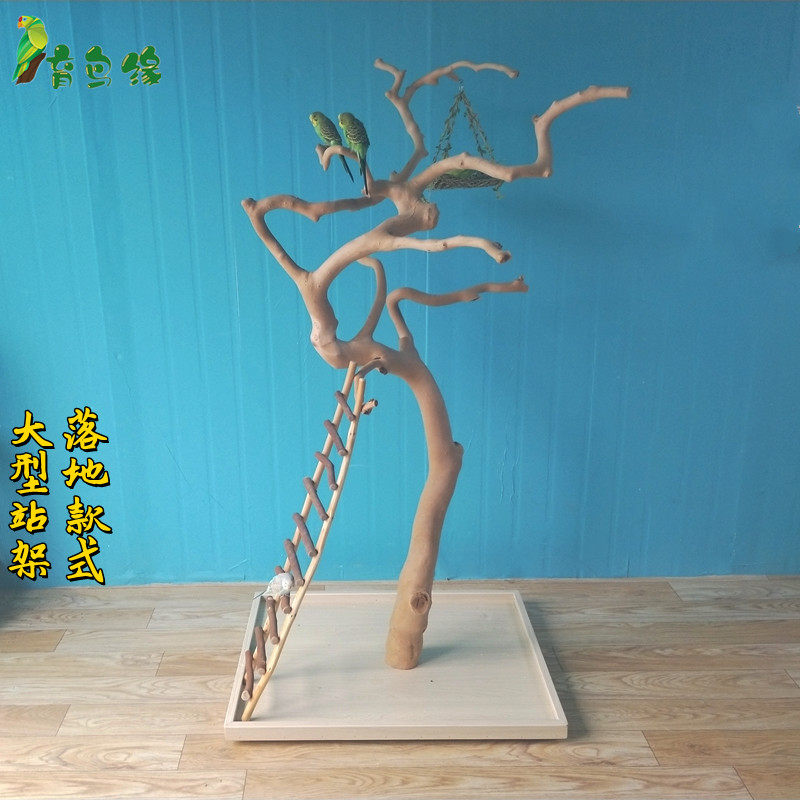 鹦鹉站架实木树枝大型落地鸟站架育鸟缘折衷栖木宠物训鸟架鸟架子