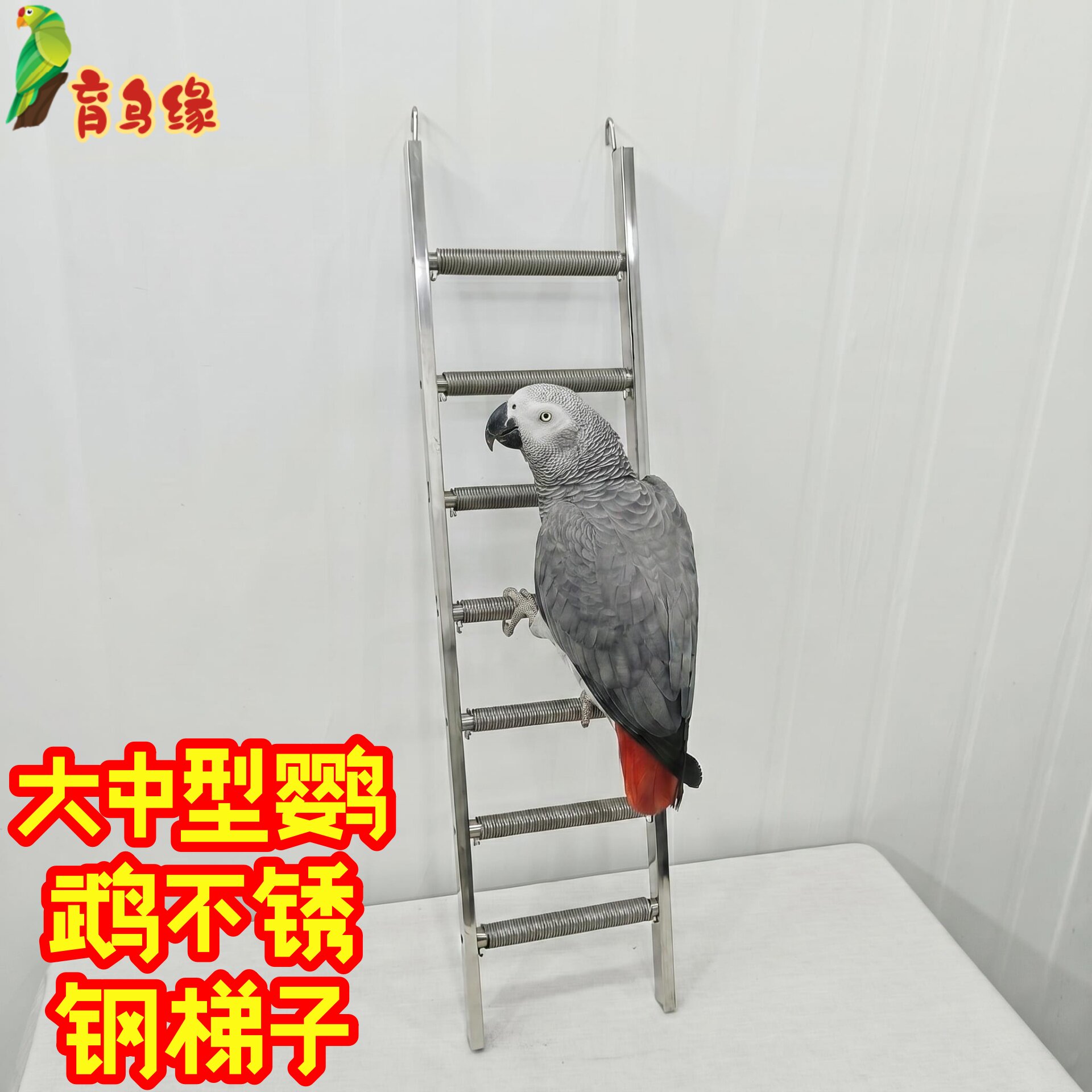 中大型鹦鹉不锈钢爬梯梯子楼梯金刚灰机葵花金太阳折衷咬不烂玩具