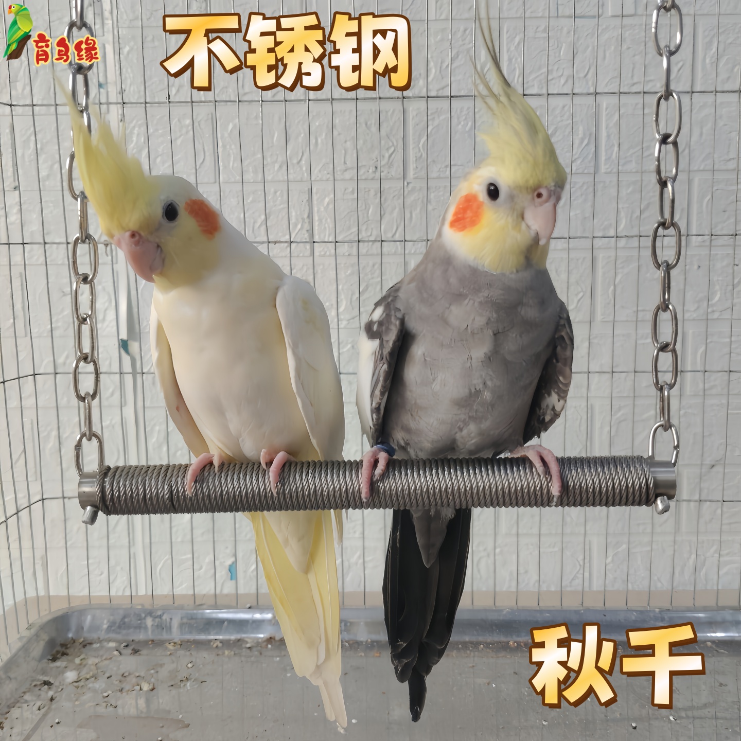 鹦鹉不锈钢秋千链条秋千大中小型鹦鹉吊环玩具笼子配件鸟摆荡玩具