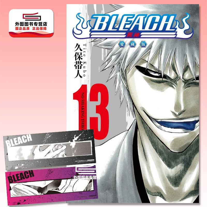 BLEACH死神爱藏版13