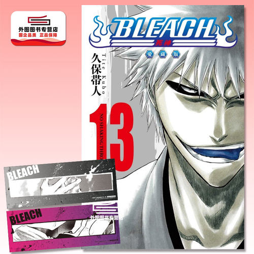 BLEACH死神爱藏版13