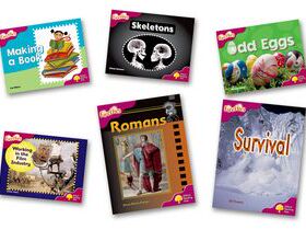 Oxford Reading Tree: Level 10: Fireflies. Pack (6 books, 1 of each title) n/e (Pack)  牛津阅读树 萤火虫10级别套装