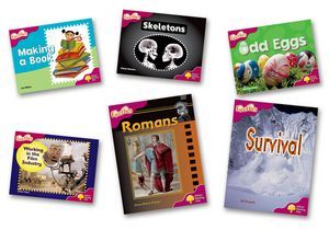 Oxford Reading Tree: Level 10: Fireflies. Pack (6 books, 1 of each title) n/e (Pack)  牛津阅读树 萤火虫10级别套装