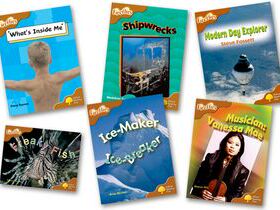 Oxford Reading Tree: Level 8: Fireflies. Pack (6 books, 1 of each title) n/e (Pack) 牛津阅读树 萤火虫8级别套装