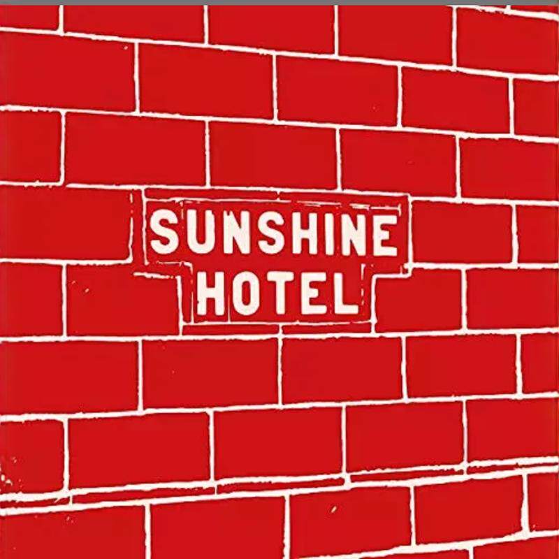 预售 英文原版 MITCH EPSTEIN: SUNSHINE HOTEL 米奇·爱泼斯坦:阳光酒店