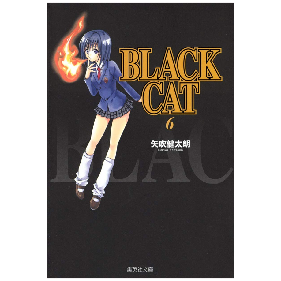 BLACKCAT黑猫爱藏版6