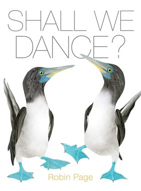 现货 英文原版 Shall We Dance? 我们跳舞好吗？