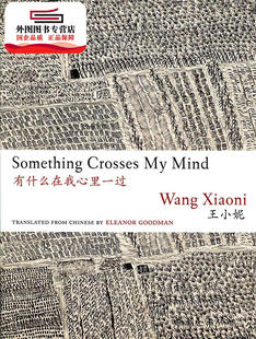 现货【外图港版】有甚么在我心里一过 Something Crosses My Mind / WANG, Xiaoni.Eleanor Goodman香港中文大学出版社