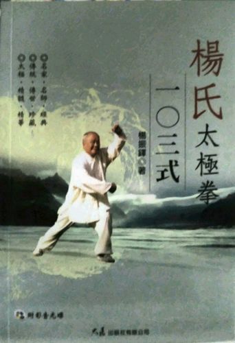 现货【外图台版】杨氏太极拳103式（附DVD） / 杨振铎