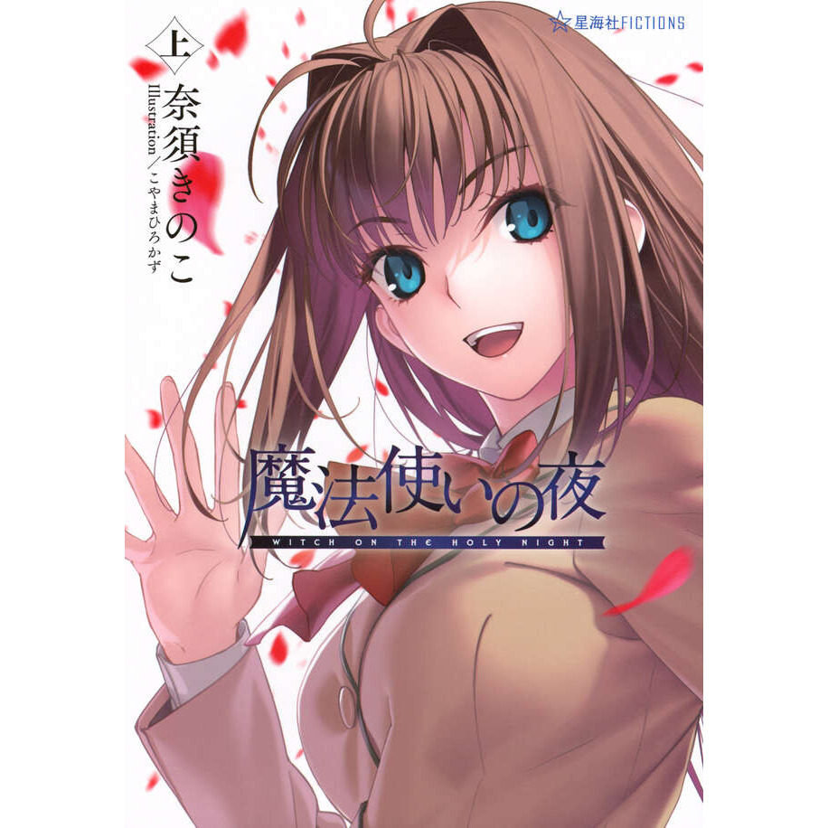 轻小说魔法使之夜上奈须蘑菇