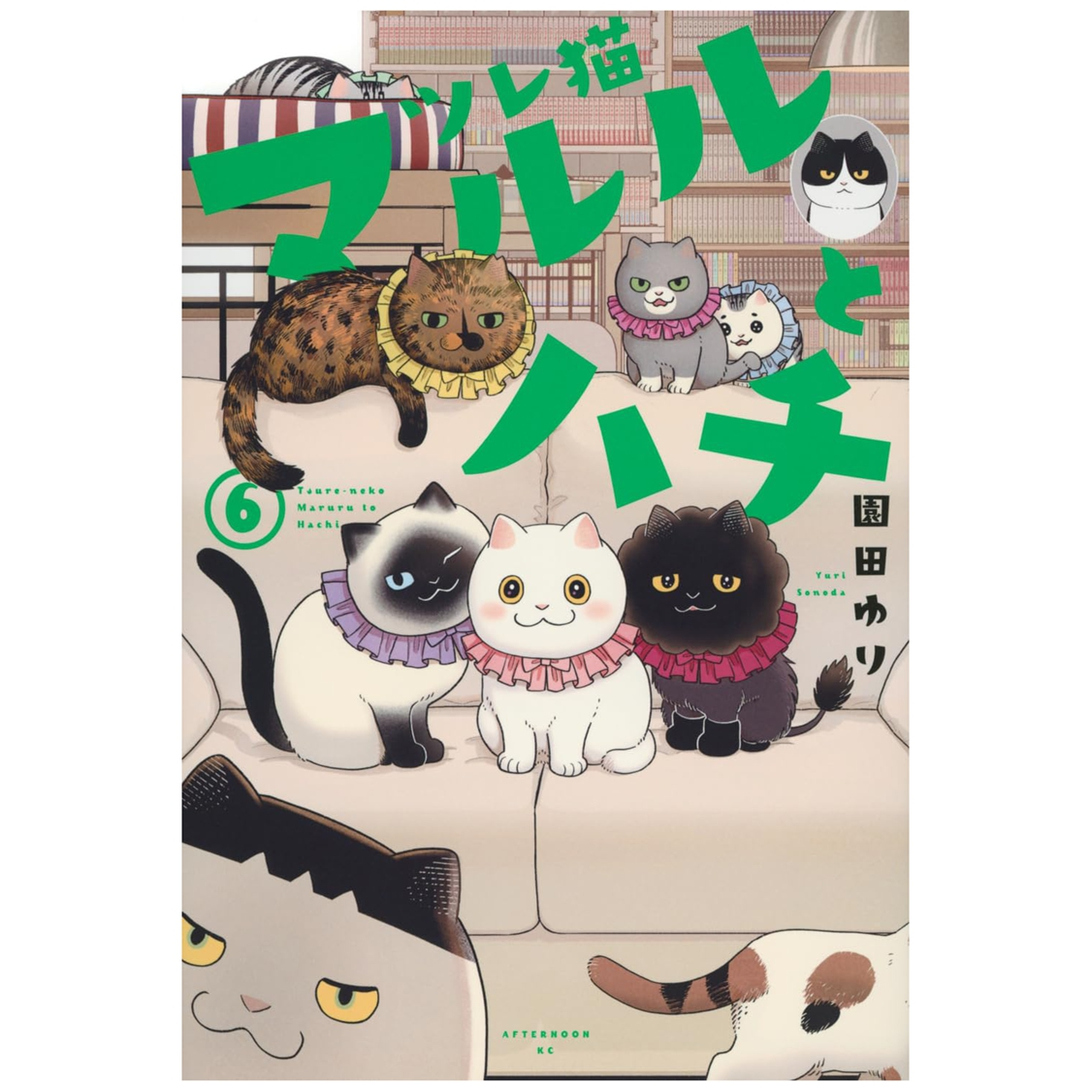 猫咪好伙伴小圆圆和小八6