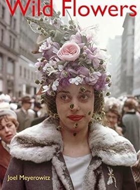 现货 英文原版 JOEL MEYEROWITZ: WILD FLOWERS（摄影集） 乔尔·迈耶罗维茨：野花
