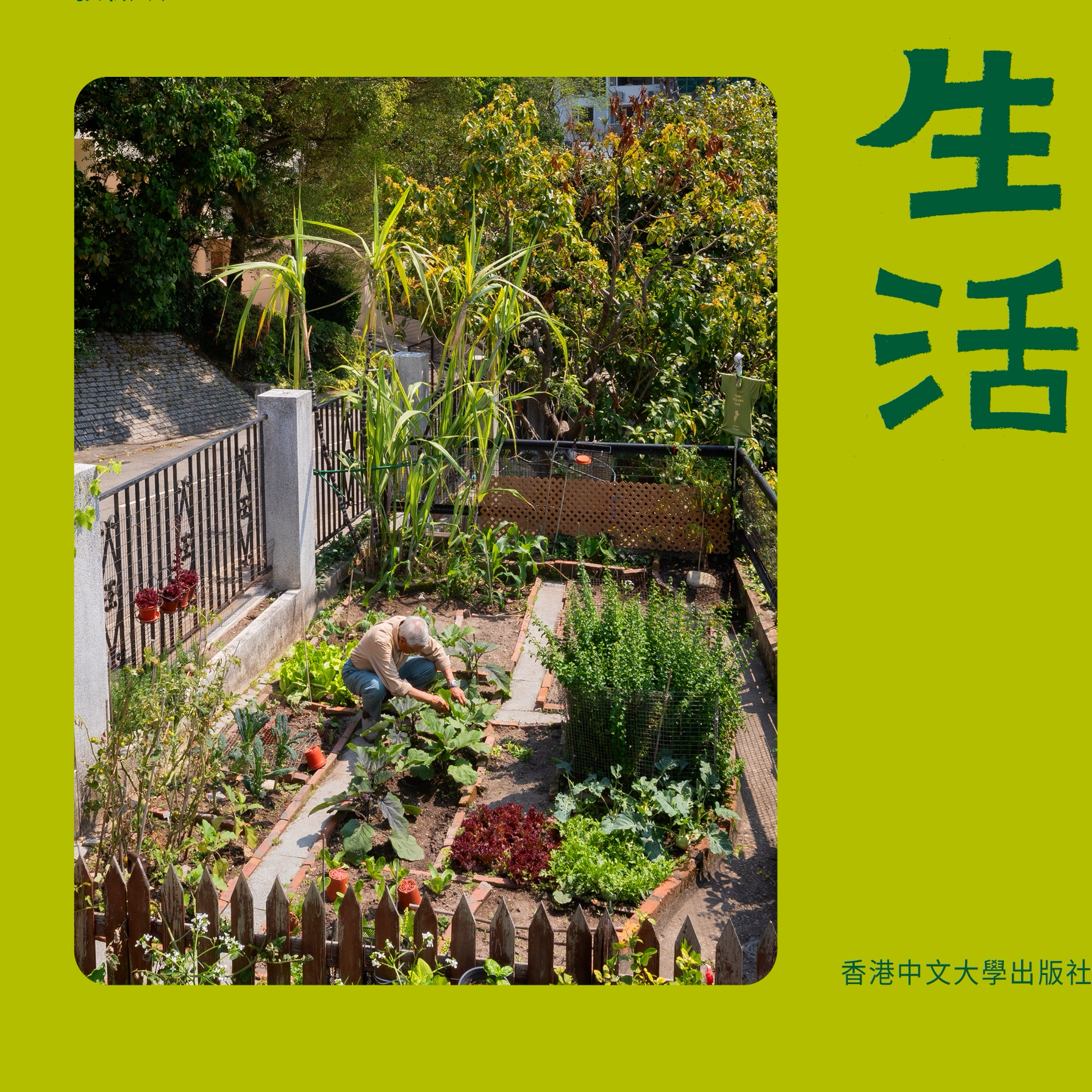 一个香港医生的城市耕种札记