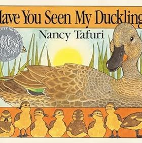 预售 英文原版 Have You Seen My Duckling? Board Book: An Easter and Springtime Book for Kids 你看见我的小鸭了吗？