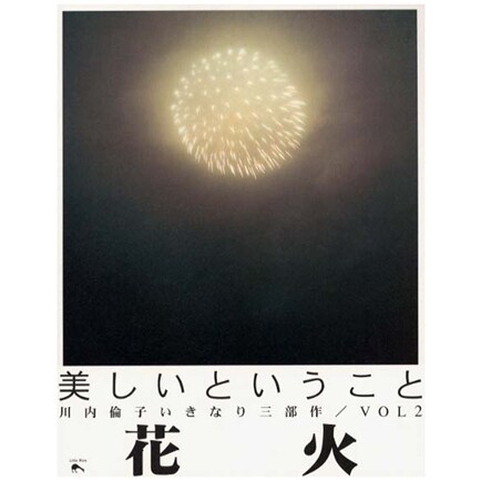 现货 日文原版 花火 川内伦子摄影集 花火 木村伊兵卫摄影奖