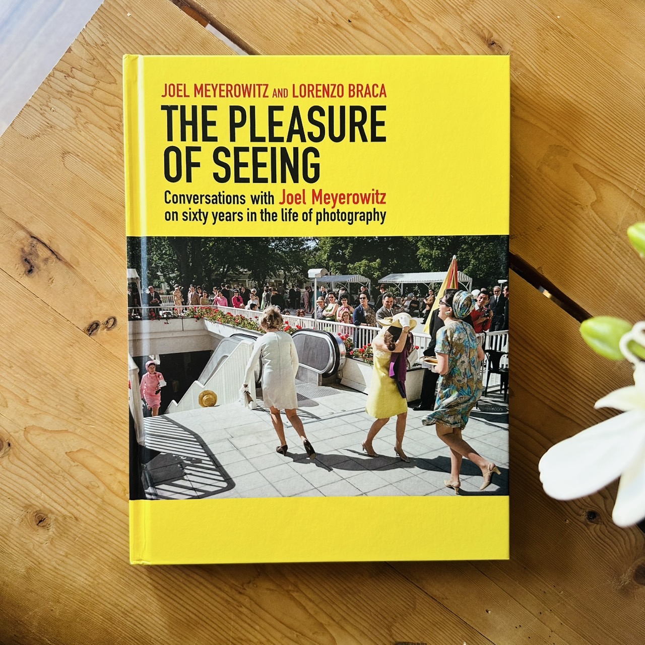 现货 英文原版   与乔尔·迈耶罗维茨的对话：观看的乐趣 | Joel Meyerowitz： Pleasure of Seeing