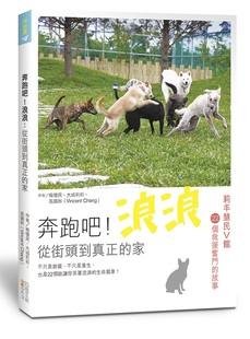 浪浪：从街头到真正 家 Chang 外图台版 四块玉文创 Vincent 奔跑吧 大城莉莉 预售 杨怀民