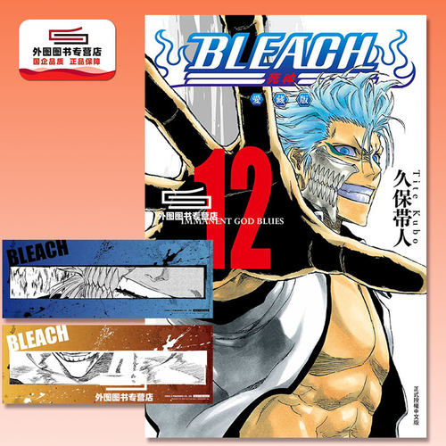 BLEACH死神爱藏版12