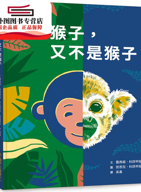 预售【外图台版】像猴子，又不是猴子 / 露西娅．科诗柯娃作；芭芭拉．科诗柯娃绘 小鲁文化事业股份有限公司