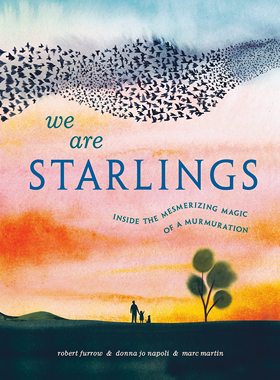 现货 英文原版We Are Starlings: Inside the Mesmerizing Magic of a Murmuration 我们是椋鸟：低语的魔力 2023纽约时报推荐绘本