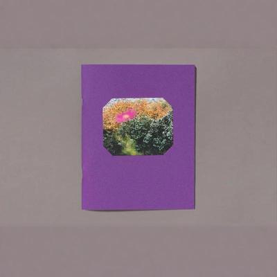 预售 英文原版    YOKO IKEDA - OBSCURA 池田洋子 - 暗藏