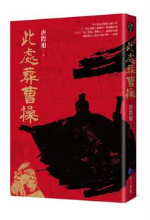 预售【外图台版】此处葬曹操 / 唐际根 马可孛罗文化