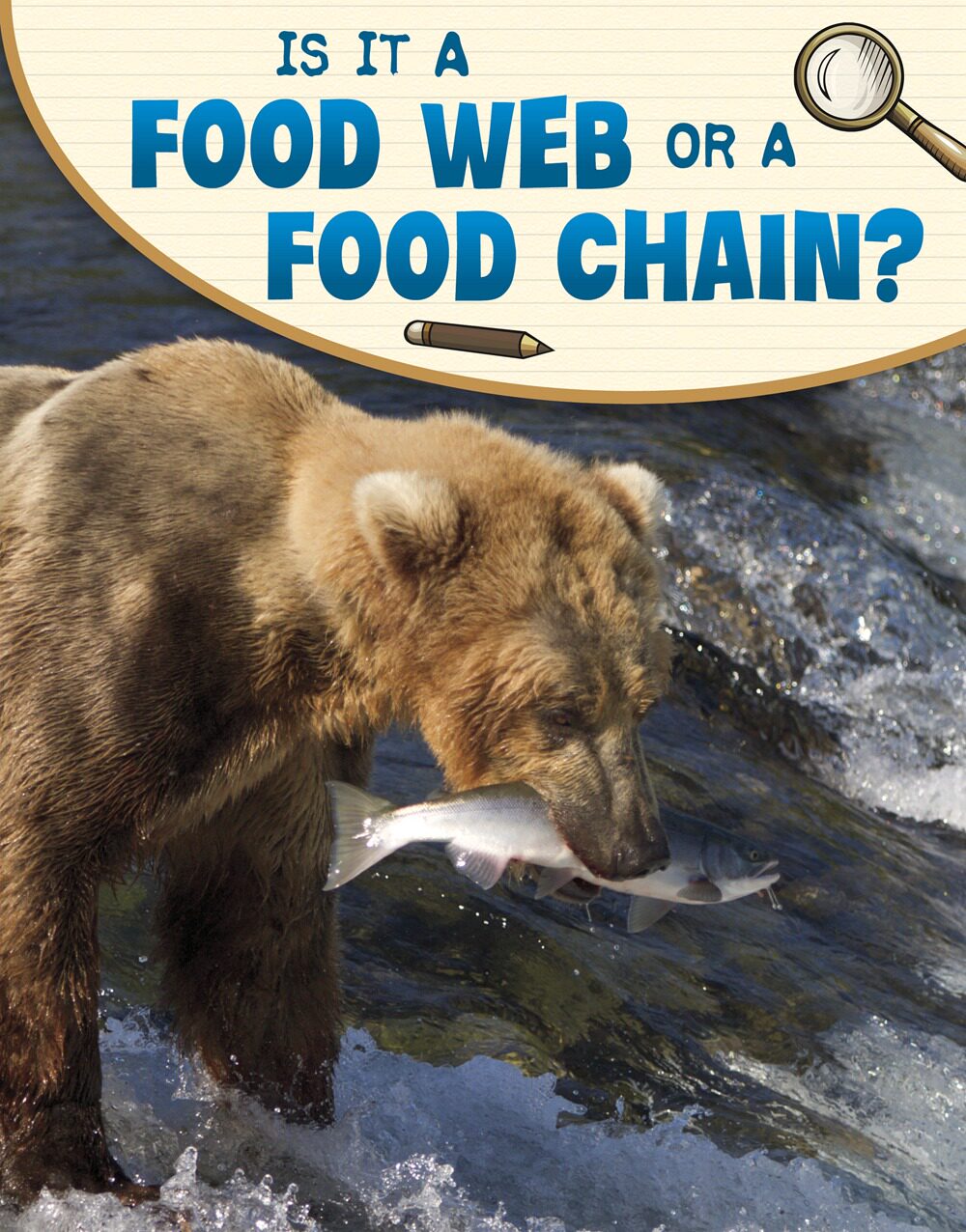 预售【外图原版英文】is it a food web or a food chain?