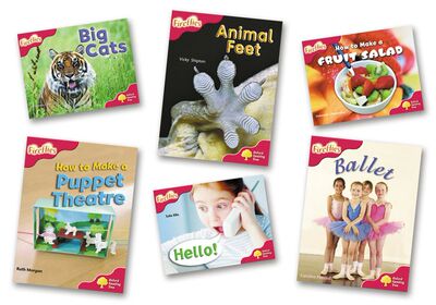 Oxford Reading Tree: Level 4: More Fireflies A. Pack (6 books 1 of each title) n/e (Pack) 牛津阅读树 进阶萤火虫4级别套装