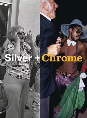 现货 英文原版   MITCH EPSTEIN: SILVER + CHROME 米奇·爱泼斯坦：银+铬
