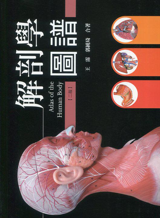 预售【外图台版】解剖学图谱 / 郭纯琦,王霈 华格那企业