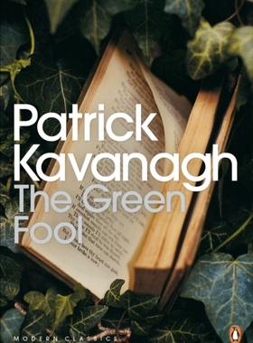 【外图原版】进口英文 The Green Fool