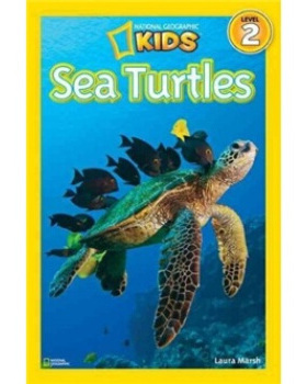 国家地理 少儿儿童版NGR SEA TURTLES海龟