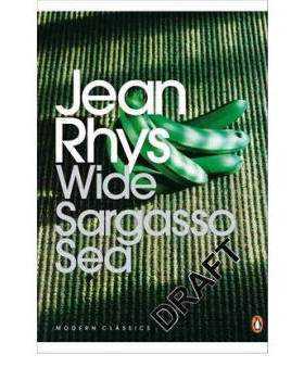 现货【外图原版】 Wide Sargasso Sea 茫茫苍海 琼·里斯 暮色将至作者好友 茫茫藻海 简爱前传 企鹅现代摩登系列 平装